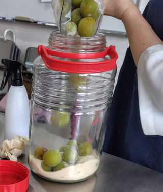 Photo_7 Photo_7