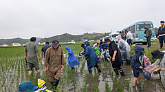 Pxl_20260620_052257069